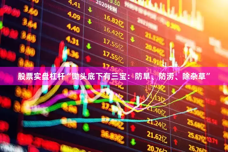 股票实盘杠杆“锄头底下有三宝：防旱、防涝、除杂草”