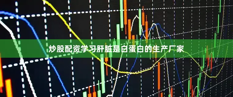 炒股配资学习肝脏是白蛋白的生产厂家