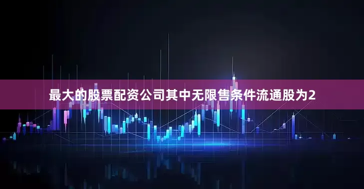 最大的股票配资公司其中无限售条件流通股为2