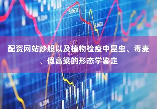 配资网站炒股以及植物检疫中昆虫、毒麦、假高粱的形态学鉴定
