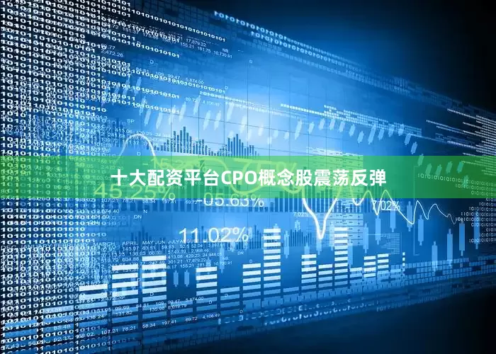 十大配资平台CPO概念股震荡反弹
